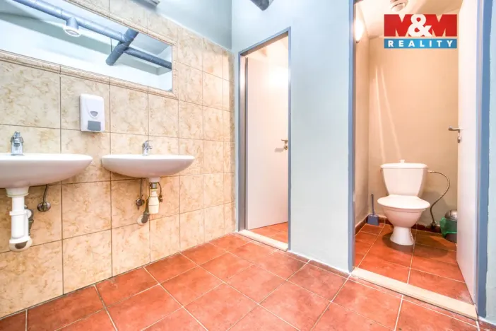 Pronájem obchodního prostoru, Plzeň - Jižní Předměstí, Americká, 102 m2