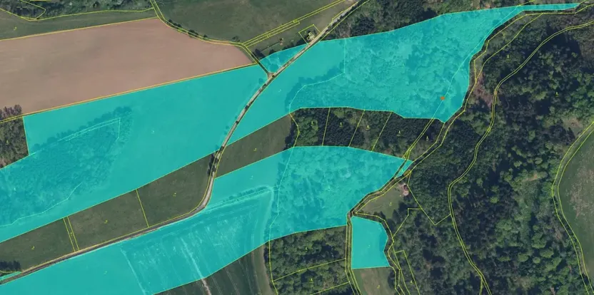 Prodej lesa, Lukavice, 90440 m2