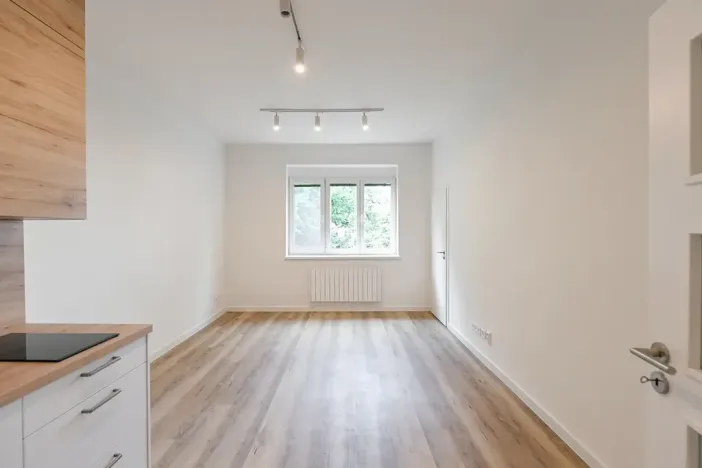 Pronájem bytu 1+kk, Praha - Michle, Hanusova, 28 m2