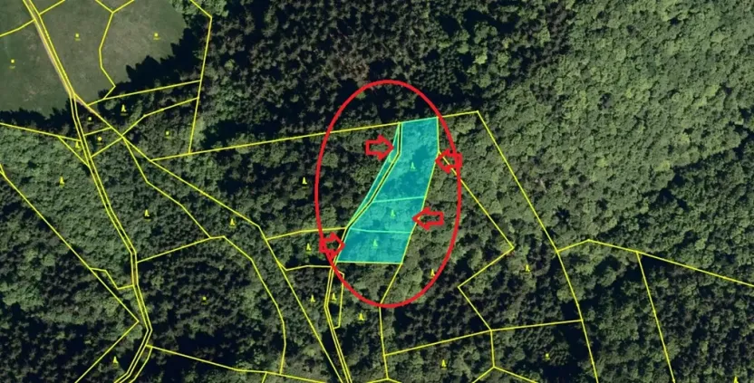 Prodej podílu lesa, Halenkov, 1840 m2