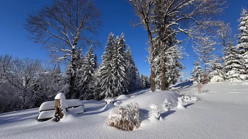 Prodej chaty, Kořenov - Polubný, 200 m2