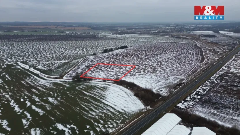 Prodej pole, Přišimasy, 7366 m2