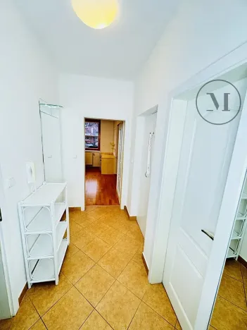 Pronájem bytu 1+1, České Budějovice, Riegrova, 55 m2