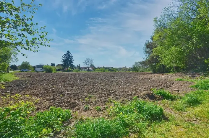 Prodej pozemku pro bydlení, Žáky, 1061 m2