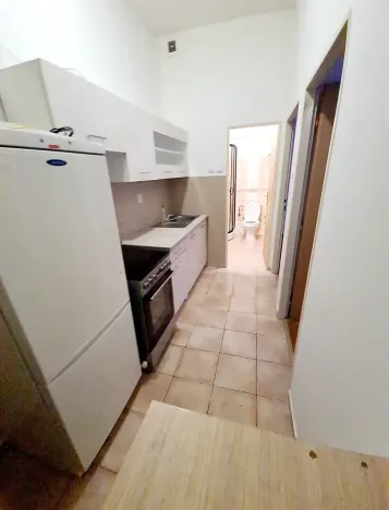 Pronájem bytu 2+kk, Praha - Vinohrady, Řipská, 40 m2