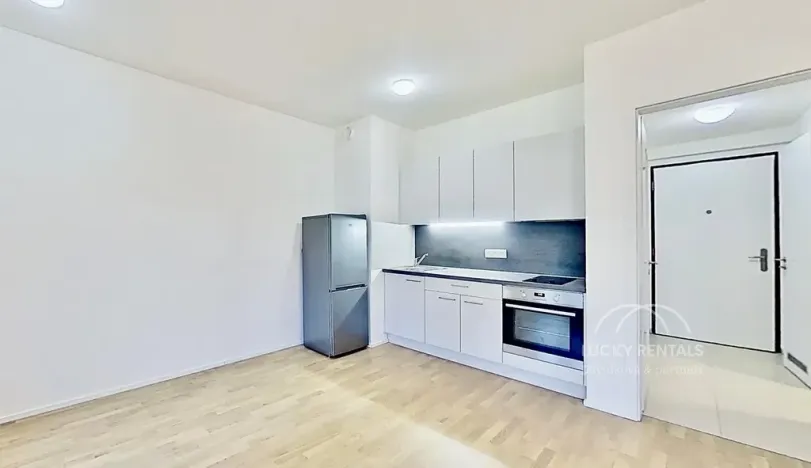Pronájem bytu 1+kk, Praha - Hlubočepy, Wassermannova, 34 m2