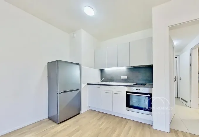 Pronájem bytu 1+kk, Praha - Hlubočepy, Wassermannova, 34 m2