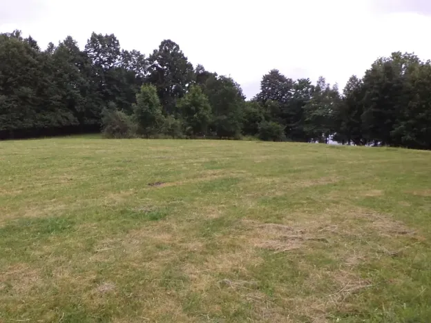 Dražba louky, Vlčice, 1566 m2