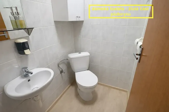 Pronájem kanceláře, Brno, Příkop, 226 m2