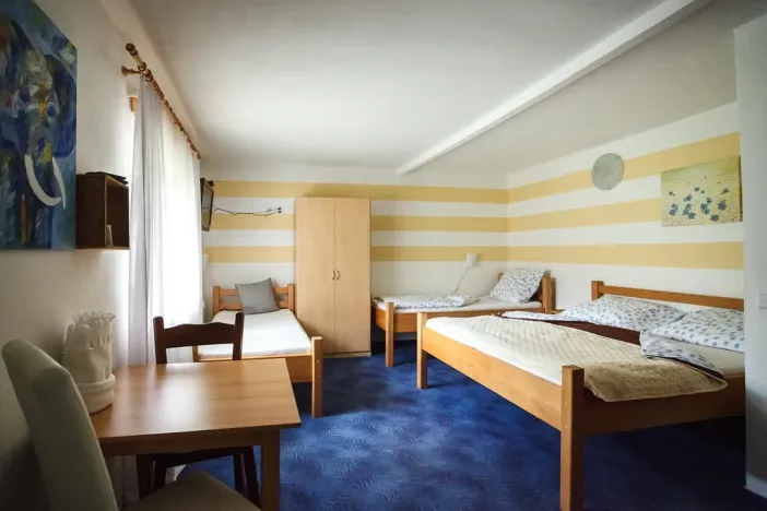 Prodej rodinného domu, Žabovřesky, 950 m2