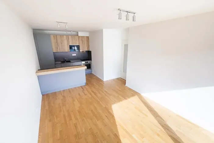 Prodej bytu 3+kk, Praha - Žižkov, U Viktorie, 70 m2