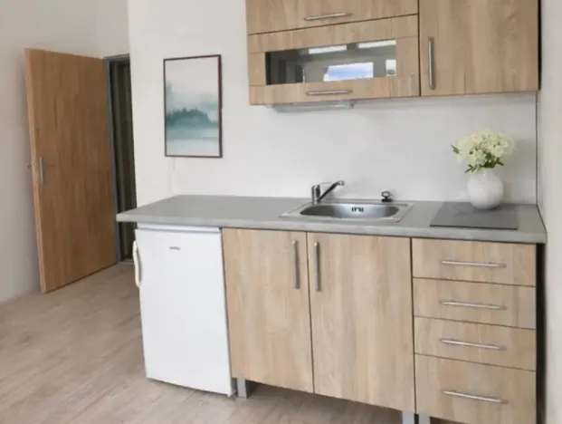 Pronájem bytu 1+kk, Olomouc, Zámečnická, 32 m2