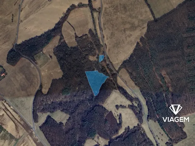 Prodej lesa, Doubravy, 20718 m2