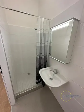 Pronájem bytu 2+kk, Praha - Nusle, Slavojova, 49 m2