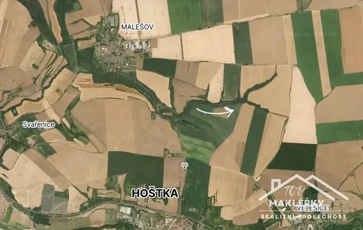 Prodej pole, Hoštka, 28410 m2