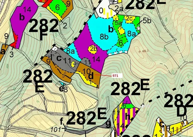 Dražba lesa, Lhota Rapotina, 4308 m2