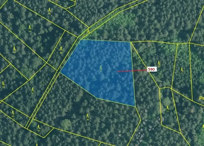 Dražba lesa, Kuřimany, 4807 m2