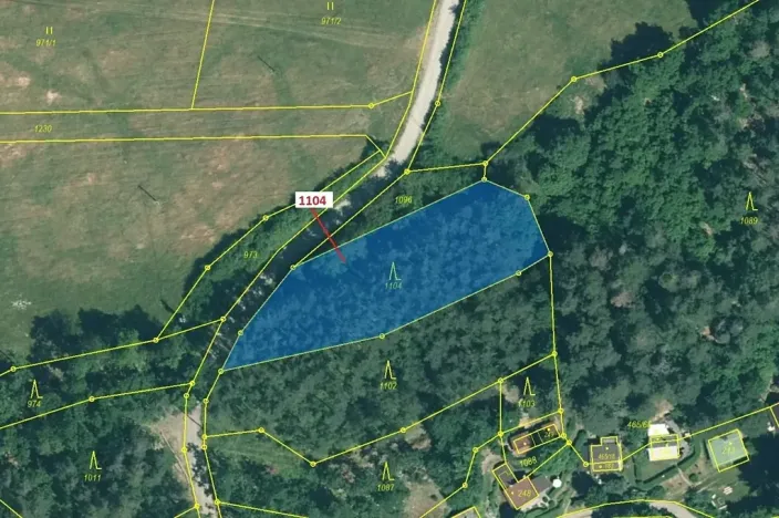 Dražba lesa, Plasy, 1489 m2