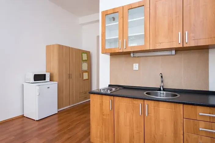 Pronájem bytu 1+kk, Praha - Žižkov, Vlkova, 25 m2