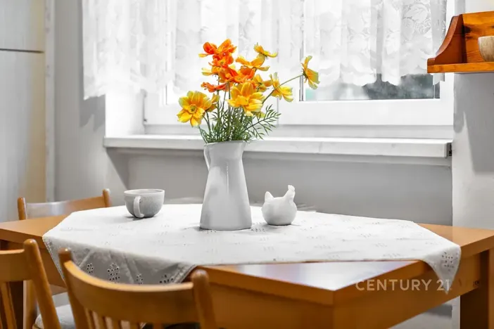 Pronájem bytu 2+1, Plzeň, Zahradní, 47 m2