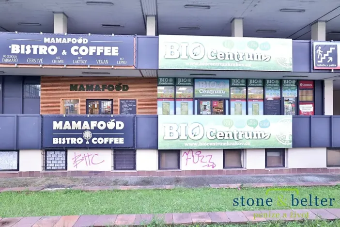 Pronájem obchodního prostoru, Praha - Troja, Lodžská, 254 m2