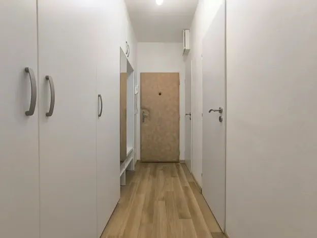 Pronájem bytu 2+1, Brno, Družstevní, 56 m2