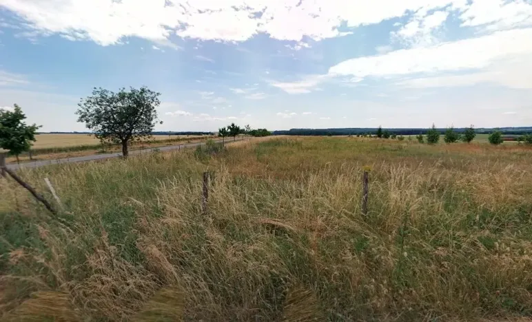 Prodej pole, Maršov, 31902 m2