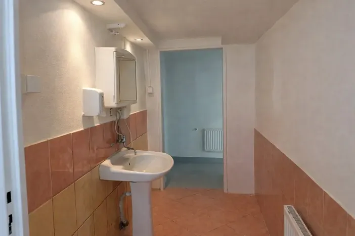 Pronájem obchodního prostoru, Příbram - Příbram VIII, Budovatelů, 220 m2