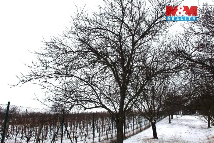 Prodej pole, Starý Poddvorov, 4096 m2