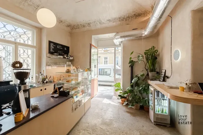 Pronájem bytu 2+kk, Praha - Vinohrady, Lublaňská, 50 m2