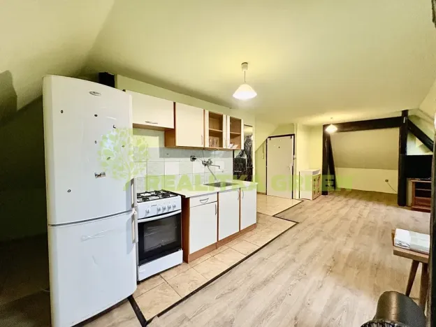 Pronájem bytu 1+kk, Veselá, 50 m2