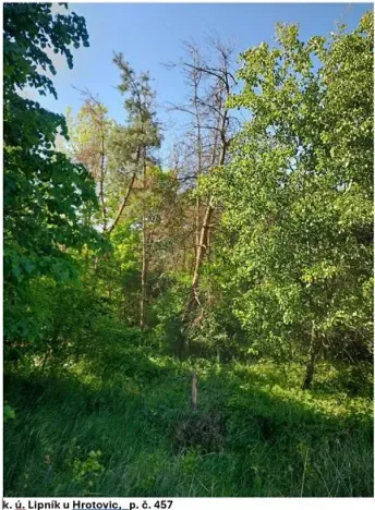 Prodej lesa, Lipník, 2058 m2