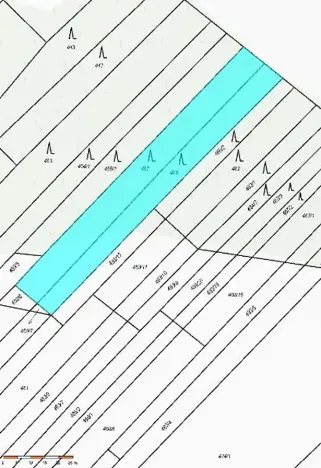 Prodej lesa, Lipník, 2058 m2