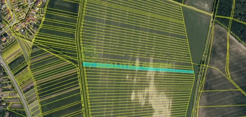 Prodej pole, Svatobořice-Mistřín, Hlavní, 8725 m2