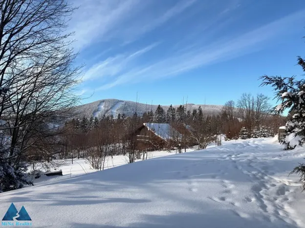 Prodej rodinného domu, Strážné, 180 m2