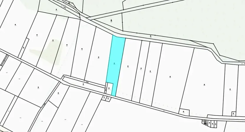 Dražba louky, Blatná, 11080 m2