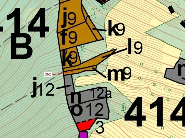 Dražba lesa, Zděchov, 273 m2