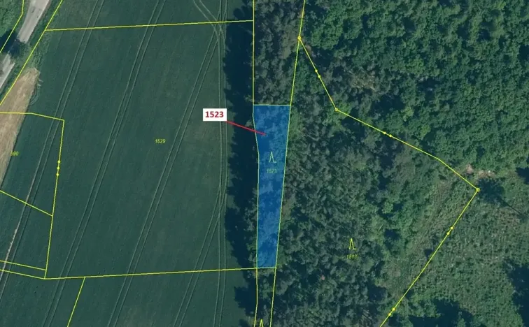 Dražba lesa, Hradiště, 645 m2