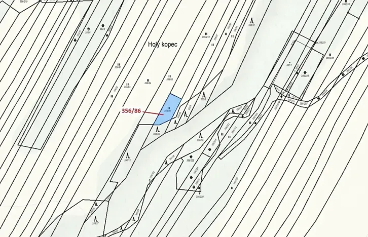 Dražba louky, Ivančice, 252 m2