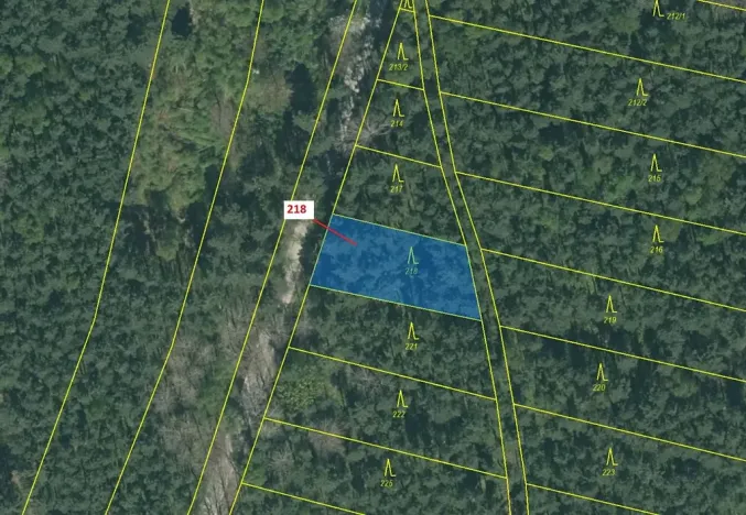 Dražba lesa, Vesce, 682 m2