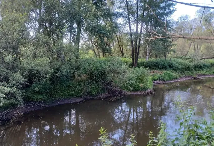 Dražba pozemku, Mimoň, 11189 m2
