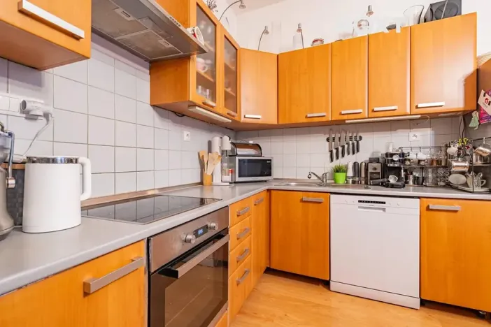 Prodej bytu 2+kk, České Budějovice, Dr. Stejskala, 77 m2