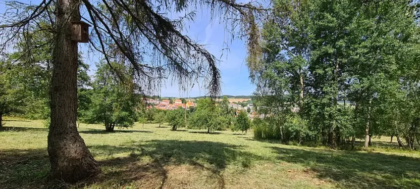 Prodej pozemku pro bydlení, Vlachovo Březí, 16463 m2