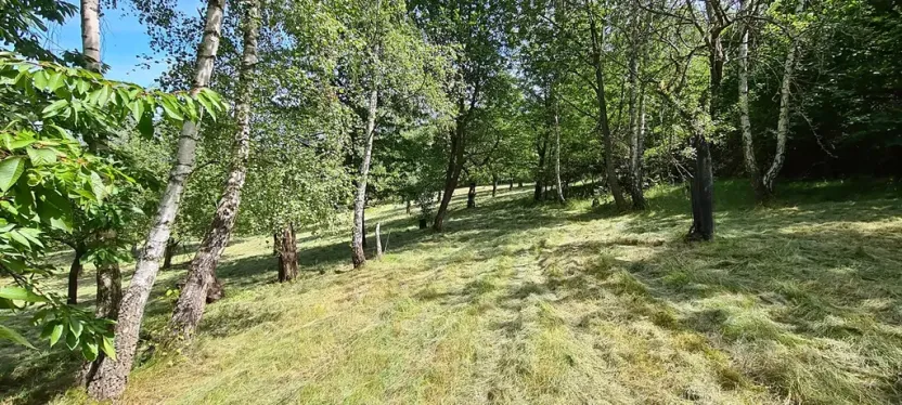 Prodej pozemku pro bydlení, Vlachovo Březí, 16463 m2