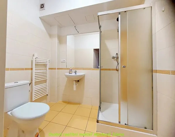 Pronájem bytu 1+kk, Praha - Michle, Jihlavská, 24 m2