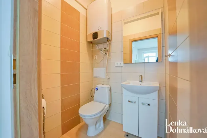 Pronájem komerční nemovitosti, Hodonín, Příční, 46 m2