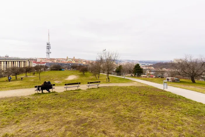 Pronájem bytu 1+1, Praha - Žižkov, Jičínská, 30 m2