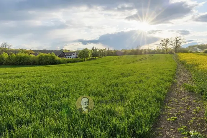 Prodej pozemku pro bydlení, Česká Skalice, 30928 m2