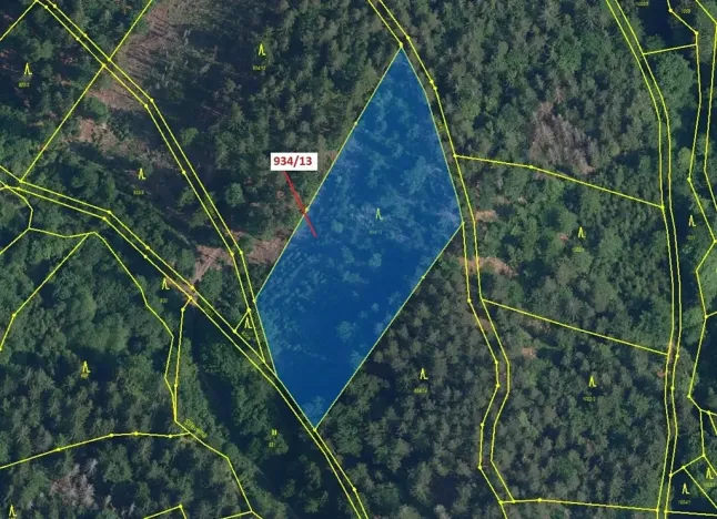 Dražba lesa, Jílové u Držkova, 6213 m2