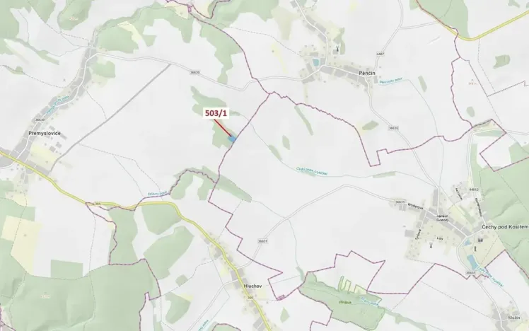 Dražba lesa, Přemyslovice, 7049 m2